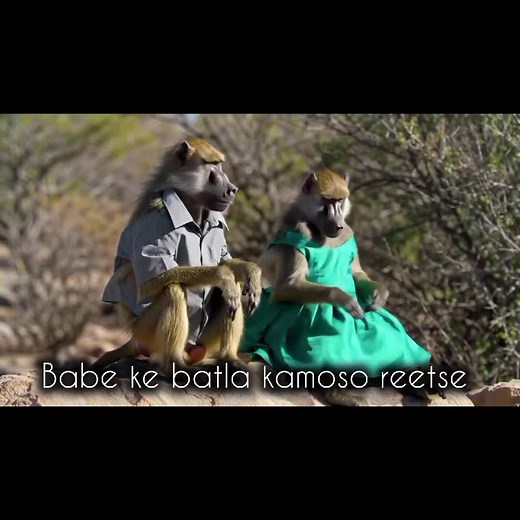 Funny RSA Jokes and Cheese Humor