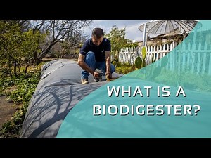 Ep. 1 What is a biodigester? | SERIE: All about biodigesters