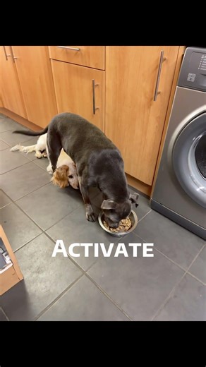 Activate: Stealth Mode