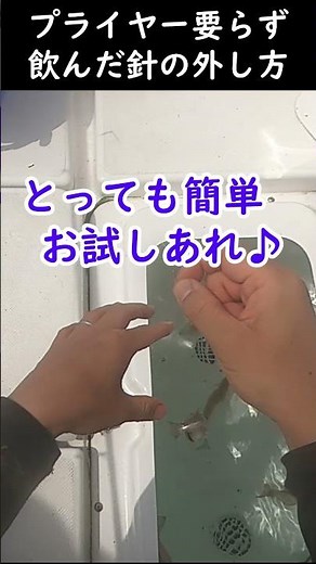 【キス釣り】簡単裏技！飲んだ針の外し方 #Shorts