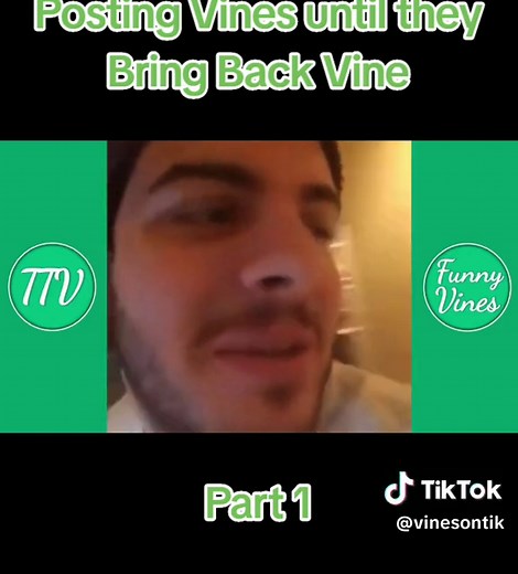 Classic Vines Compilation: Hilarious Throwback Moments