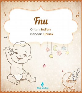 Fnu Name Meaning, Origin, History, And Popularity