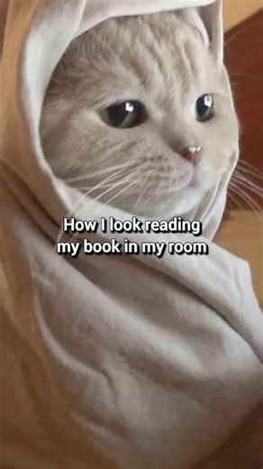 💬 Are you a café or a bedroom reader? 📚 Save money for more stories with BookScouter.com 💸