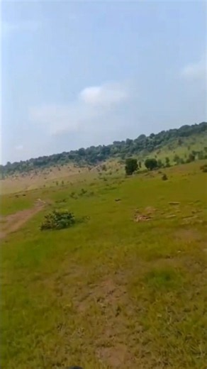 ye nigahe ye aadaye#tranding#🌿💐🌧️