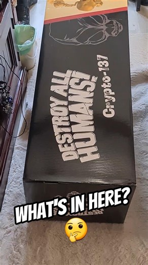 What To Do With A Huge Box? 🤔