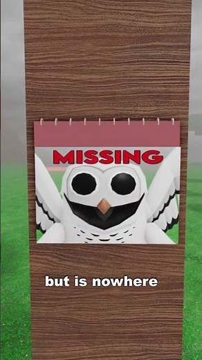 The Owl is Missing in 99 Nights in The Forest