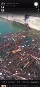 [NSFW] Two Men Drowning in Buffalo, New York... Attempting to Retrieve Driftwood
