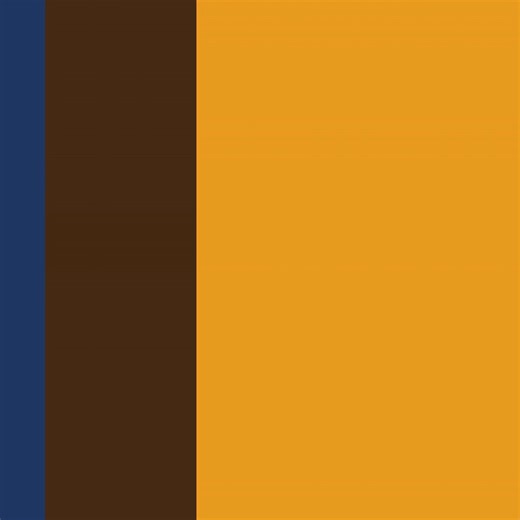 Austin Police Department on Reels