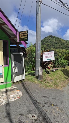 Essential Guide to Toilet Comfort and Cleanliness