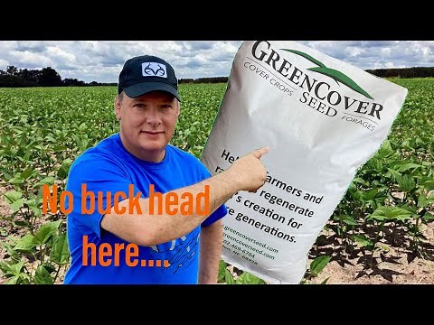 Green Cover Seed Summer Release Mix for Deer Food plots