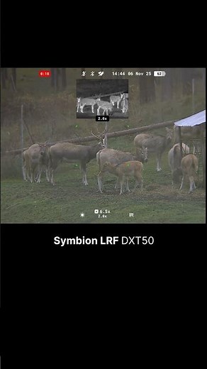 Pulsar Symbion Multispectral Binoculars | Field Footage