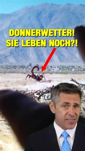 EBURD2 on Instagram: "Vertuscht Google die Existenz von Riesen Skorpionen? #kalifornien #googleearth #googlemaps #skorpion #whistleblower #Pulmonoscorpiuskirktonensis Hier gehts zu den Büchern: https://www.amazon.de/stores/author/B089WH1HDC/allbooks Koordinaten: 33.28428571012208, -116.36983903324855"