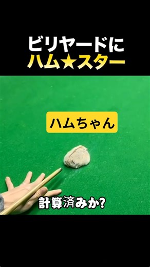 ビリヤード場に現れた、もふもふ『ハム★スター』?!