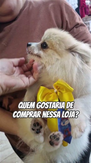 Is this store's window display a hit?