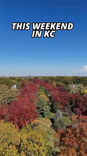 The KC Scene | Kansas City Events + News on Instagram: "🌟 KC WEEKEND ROUNDUP | Nov 14–16 Festivals, markets, live shows, and a little bit of KC weirdness — this weekend’s lineup has range! • Fall 2025 Open Studios 📍 Livestock Exchange Building | ⏰ Fri 5–9 PM • Anjelah Johnson-Reyes: The Family Reunion Tour 📍 Uptown Theater | ⏰ Fri 7 PM • R&B Only Live 📍 The Truman | ⏰ Fri 8 PM • Creekside Parkville’s OH SO MERRY Market! 📍 Creekside Parkville | ⏰ Sat 11 AM–5 PM • Puppets A-Glow VI: Art Glow 