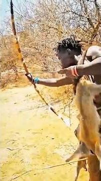 African Bush Hunt in Silence | Traditional Bow Skills.#shortvideo #wildlife #hunting