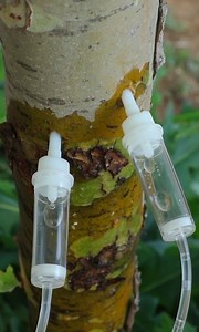 368K views · 696 reactions | Perfect life hacks & tips ideas | MetDaan Nails | Facebook