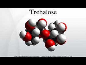 Trehalose