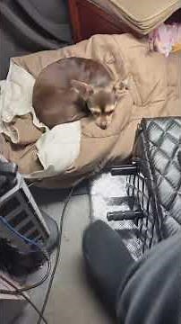 MotoSim One of a kind dirtbike simulator - overview