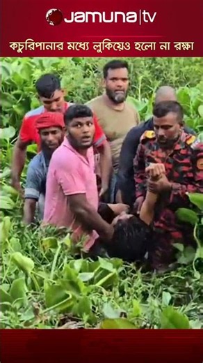 পুলিশের হাত থেকে বাঁচতে ৪ ঘণ্টা কচুরিপানার পানিতে; অসুস্থ অবস্থায় আটক #pabna #crime #jamunatv