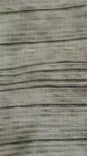 🌲 Wood End‑Grain Sealer for Preventing Cracks