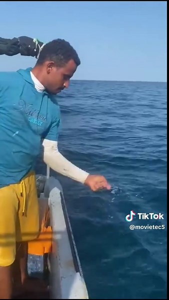 Fishing Adventure: Catching a Large Silver Fish