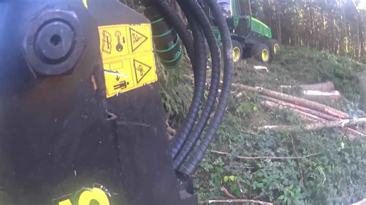 Working on Large Trunks with Precision in a Thick Forest