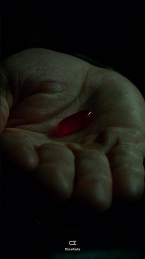 Red Pill or Blue Pill? | The Matrix (1999)