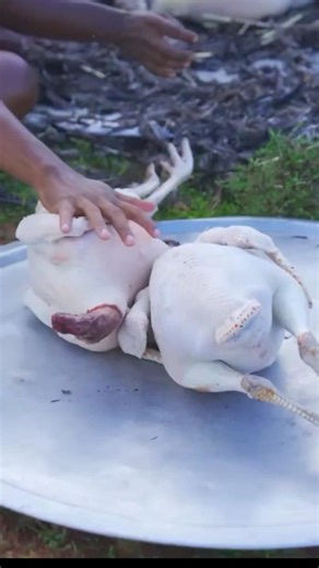 cooking chicken, cooking chicken breast, chicken cooking tips, chicken cooking