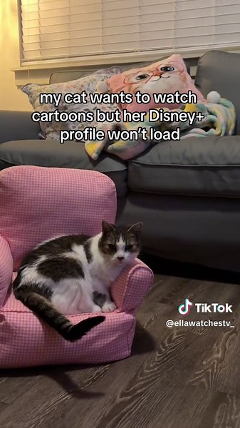 Cat Stuck on Loading Screen: Hilarious TV Time Fail