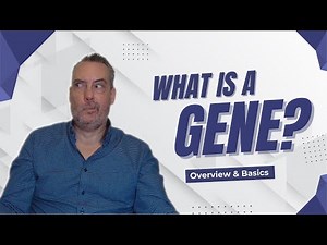 What is the structure and function of a gene?