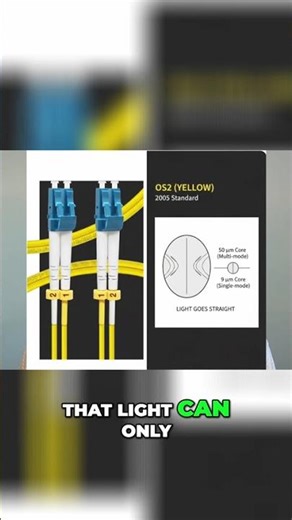 OS2 Cable: The Single Path Era Revolutionizing Light Speed! #shorts