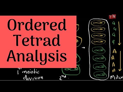 Tetrad Analysis-Part I-Ordered Tetrad Analysis