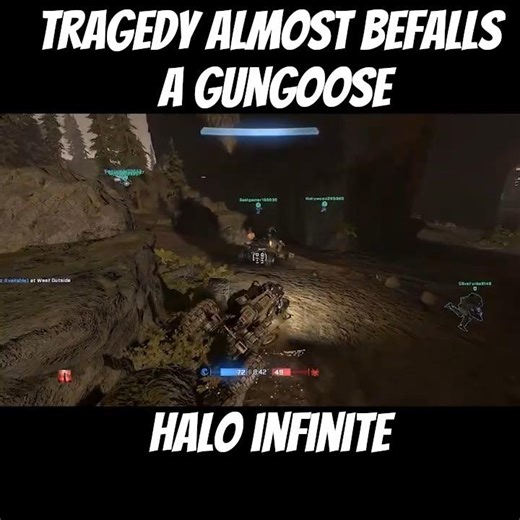 "Tragedy Almost Befalls a Gungoose" |#haloinfinitemultiplayer #haloinfinite #shorts #halo #halopc