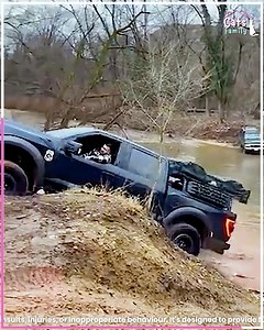 When trucks and common sense don’t mix! | Cats Family