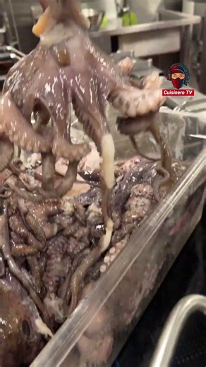 Boiled Octopus