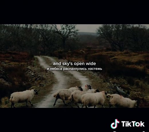 Aesthetic Vibes: Running with the Wolves by Aurora