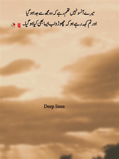 Exploring the Depths of Urdu Poetry