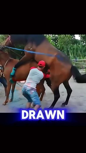 Master Horseback Riding in Just 10 Minutes