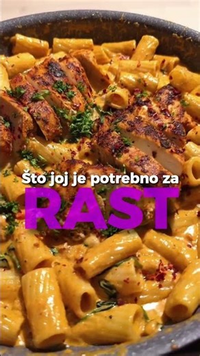 Ova hrana pomaže razvoju bebe u trudnoći