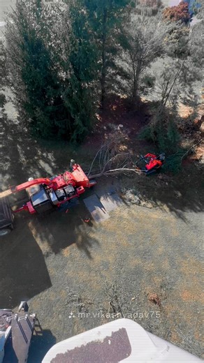 Bent-Z-Tree hard at work! #treetrimmingexperts #treeservice #virginia #westvirginia #maryland | Bent-Z-Tree | Facebook