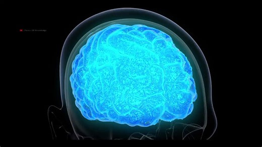McCullough Foundation on Instagram: "🚨Intranasal Nano-Ivermectin Shrinks Brain Tumors by 70% — With ZERO Toxicity Landmark study finds Ivermectin nanocapsules obliterate glioblastoma in animal models at doses LOWER than approved human doses. This aligns with ivermectin’s 14 distinct anti-cancer mechanisms. Epidemiologist Nicolas Hulscher explains."