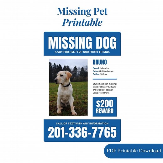 Missing Dog Flyer Editable Template Printable Lost Pet Poster Customizable Lost Dog Sign Instant Download PDF DIY Lost Animal Alert Template - Etsy
