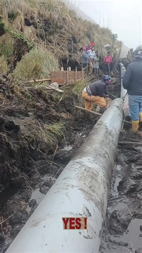 Videos de luis (@tedytedy36) con “sonido original - APACHE❤️‍🔥🐴👌 - ꧁✞ঔৣ A̼P̼A̼C̼H̼E̼❤️‍🔥🐴👌”