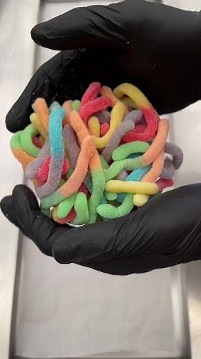Freeze Dried Gummy Worms Taste Test