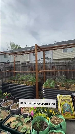 How To Water Less with Deep Watering