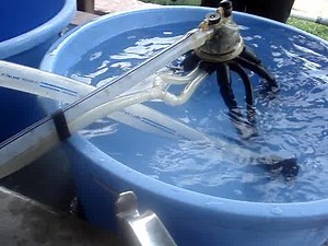 DeLaval Bucket Cluster Cleaner helps to clean Milking Cluster and Milk Tube thouroughly with water and air surge created by Bucket Cluster Cleaner. It ensures effective cleaning of Milking Cluster with reduced human efforts Easy Cleaning of Milking Machines - With DeLaval Bucket Cluster Cleaner It operates on Milking Machine Vacuum. Very easy to use and effectively cleans Clusters and Milk Tube Contact 9723467485 for more details #dairyfarm #milkproduction #farming #cowsmilk #dairyfarming #milki