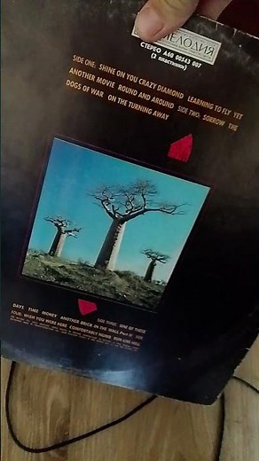Pink Floyd - Learning to Fly #live 1988 #vinyl