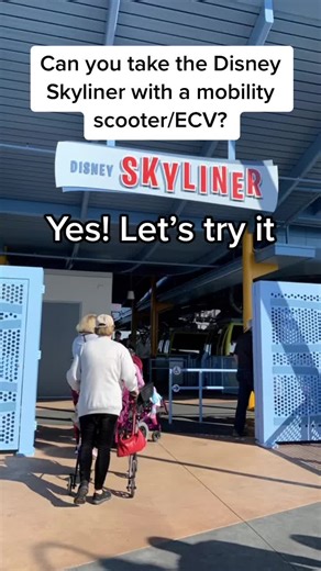 Disney World Skyliner Accessibility for Mobility Aids