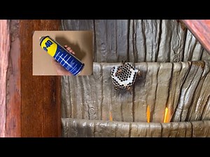 WD40 vs Wasps Nest